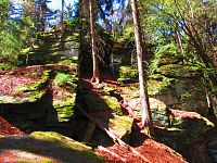 Zkamenělý zámek (Svratka)