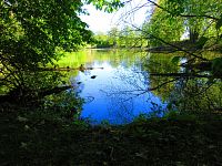 Jesípek (Hradec Králové)