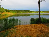 Máchovo jezero (Doksy)