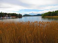 Máchovo jezero (Doksy)