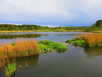 Máchovo jezero (Doksy)