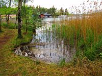 Máchovo jezero (Doksy)
