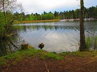 Máchovo jezero (Doksy)