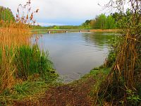 Máchovo jezero (Doksy)