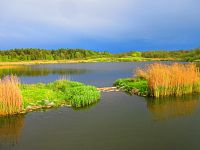 Máchovo jezero (Doksy)