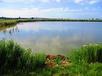 Chýšťský rybník (Chýšť)