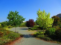 Studentský park v Hradci Králové