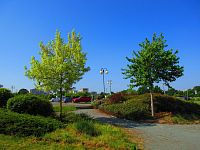 Studentský park (Hradec Králové)