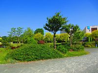 Studentský park (Hradec Králové)