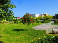 Studentský park (Hradec Králové)