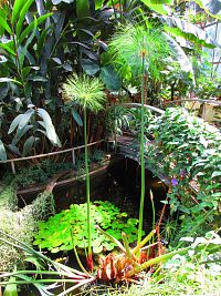 Botanická zahrada PřF UK (Praha)