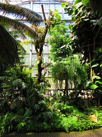 Botanická zahrada PřF UK (Praha)