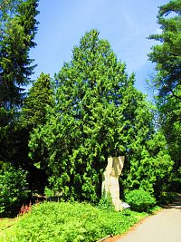 Botanická zahrada PřF UK (Praha)