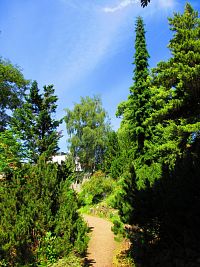 Botanická zahrada PřF UK (Praha)