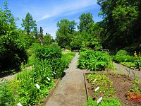 Botanická zahrada PřF UK (Praha)