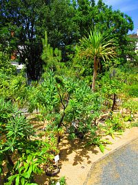 Botanická zahrada PřF UK (Praha)