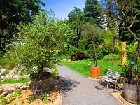 Botanická zahrada PřF UK (Praha)