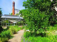 Botanická zahrada PřF UK (Praha)