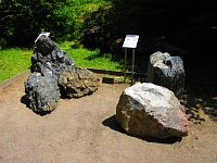 Botanická zahrada PřF UK (Praha)