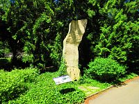 Botanická zahrada PřF UK (Praha)