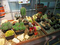 Botanická zahrada PřF UK (Praha)
