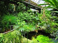 Botanická zahrada PřF UK (Praha)