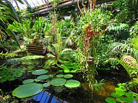 Botanická zahrada PřF UK (Praha)