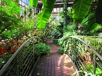 Botanická zahrada PřF UK (Praha)