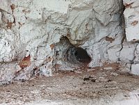 Masarykova věž samostatnosti (Hořice)