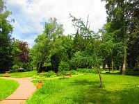 Smetanovy sady (Hořice)