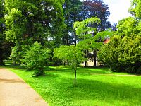 Smetanovy sady (Hořice)