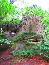 Zřícenina hradu Zbirohy (Koberovy)