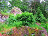 Zřícenina hradu Zbirohy (Koberovy)