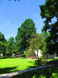 Zámecký park (Lázně Bělohrad)