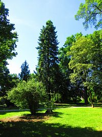 Zámecký park (Lázně Bělohrad)