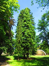 Zámecký park (Lázně Bělohrad)
