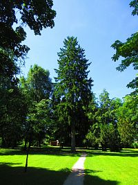 Zámecký park (Lázně Bělohrad)
