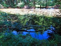 Černé jezero (Lázně Bělohrad)