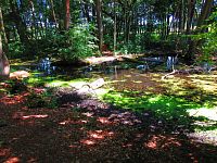 Černé jezero (Lázně Bělohrad)