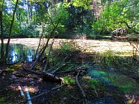 Černé jezero (Lázně Bělohrad)