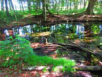 Černé jezero (Lázně Bělohrad)