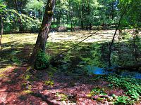 Černé jezero (Lázně Bělohrad)