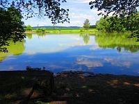 Rybník Pardoubek (Lázně Bělohrad)