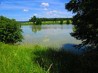 Rybník Byšička (Brtev)