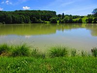 Rybník Byšička (Brtev)