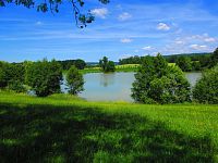 Rybník Byšička (Brtev)