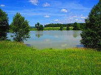 Rybník Byšička (Brtev)