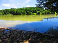 Rybník Byšička (Brtev)