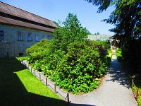 Zámecký park (Náchod)