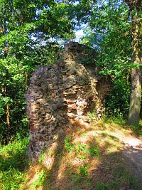 Zřícenina hradu Žebrák (Točník)